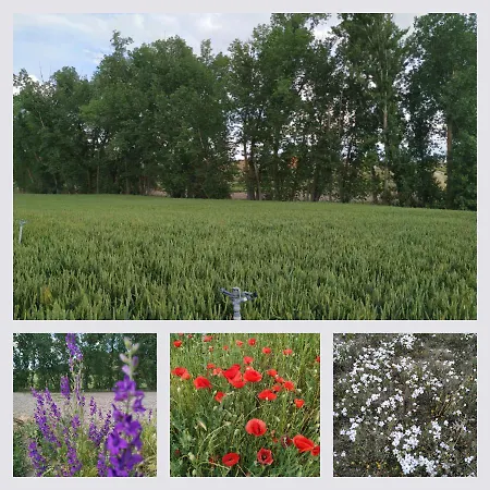 La Morena Séjour à la campagne Castroverde de Cerrato