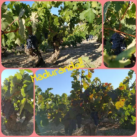 La Morena Séjour à la campagne Castroverde de Cerrato