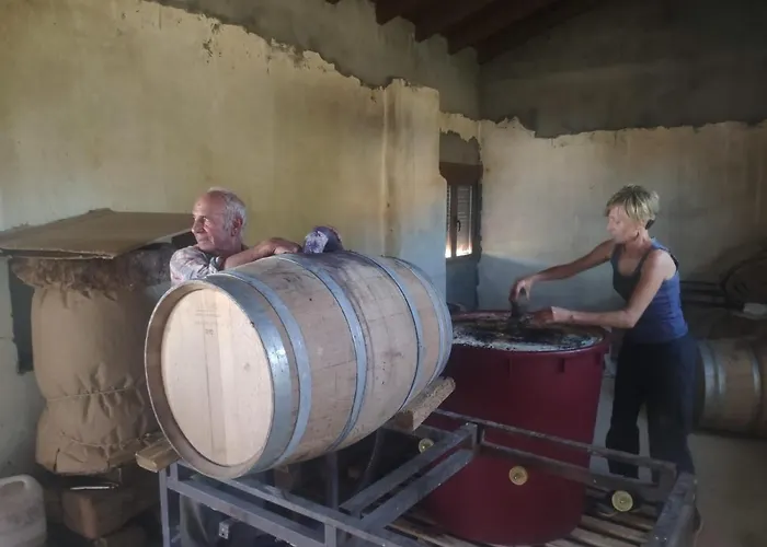 La Morena * Castroverde de Cerrato