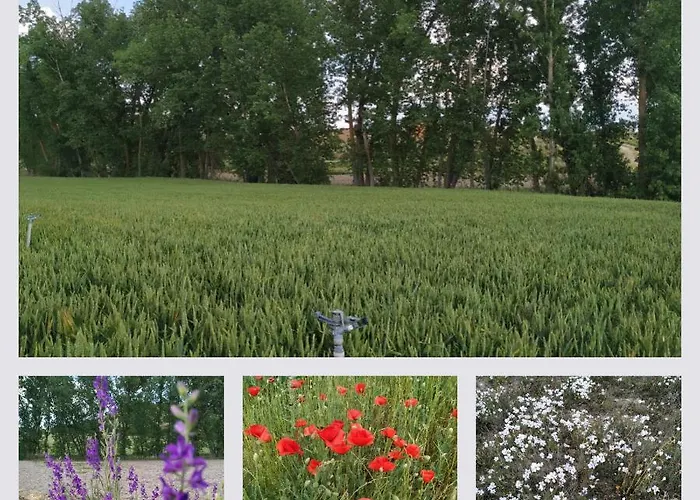 La Morena Casa de Campo Castroverde de Cerrato